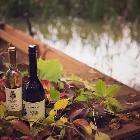 Antaloczy Winery&apartments Токай