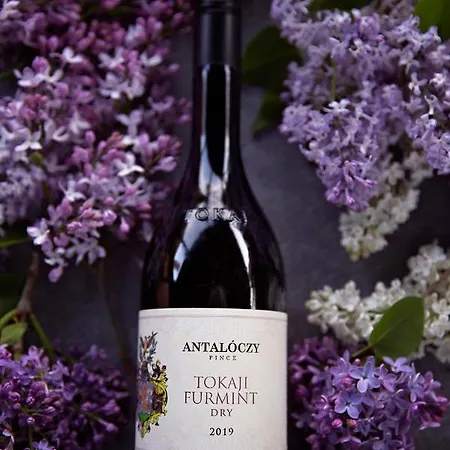 Antaloczy Winery&apartments شقة