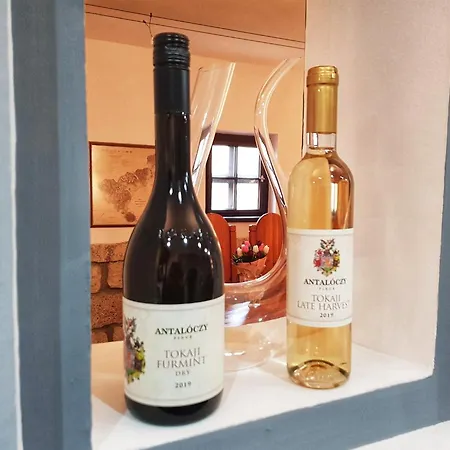 شقة Antaloczy Winery&apartments