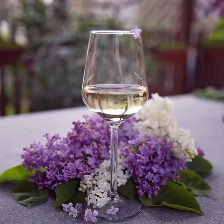 شقة Antaloczy Winery&apartments توكاي