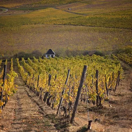Antaloczy Winery&apartments Appartement Tokaj