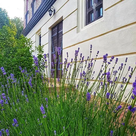 Antaloczy Winery&apartments Апартаменты *