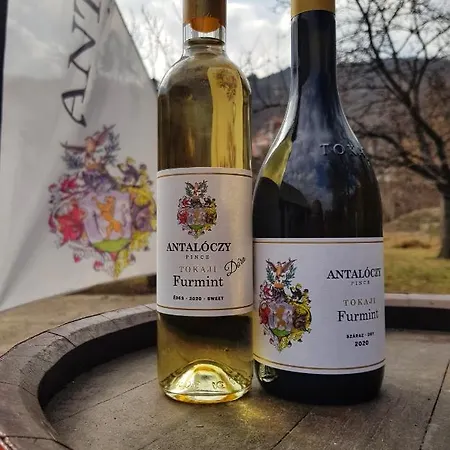 Апартаменты Antaloczy Winery&apartments Токай