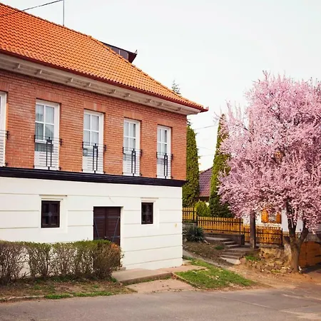 شقة Antaloczy Winery&apartments *