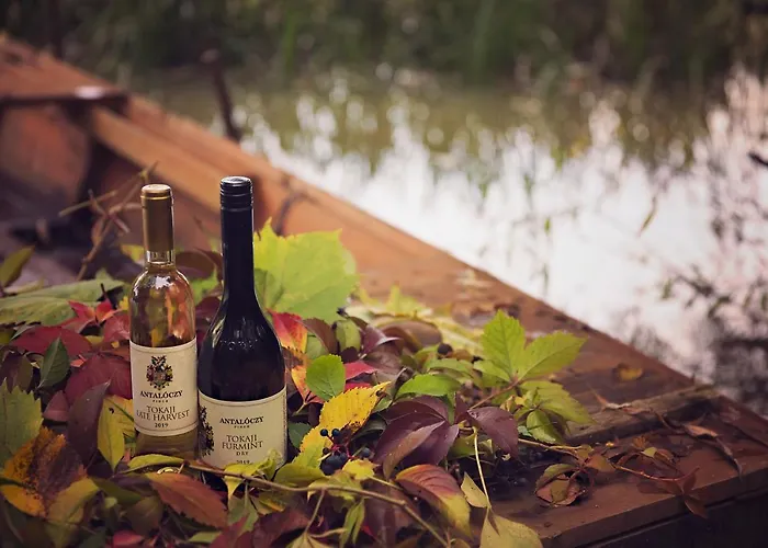 Antaloczy Winery&apartments טוקאי