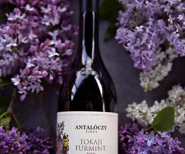 Antaloczy Winery&apartments Διαμέρισμα