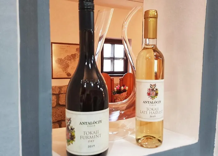 דירה Antaloczy Winery&apartments