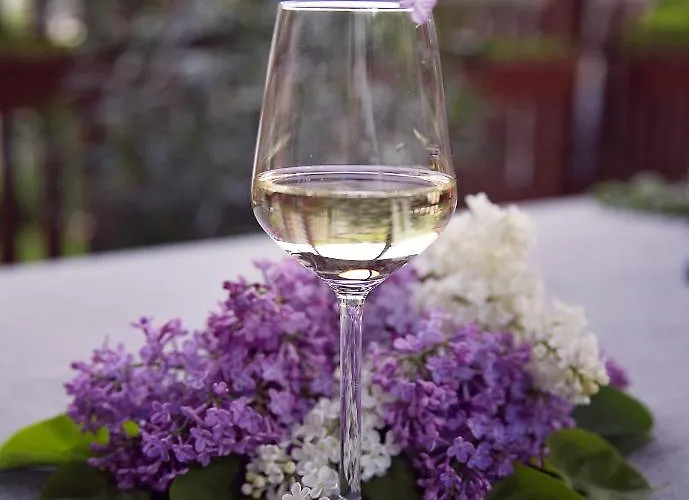 דירה Antaloczy Winery&apartments טוקאי