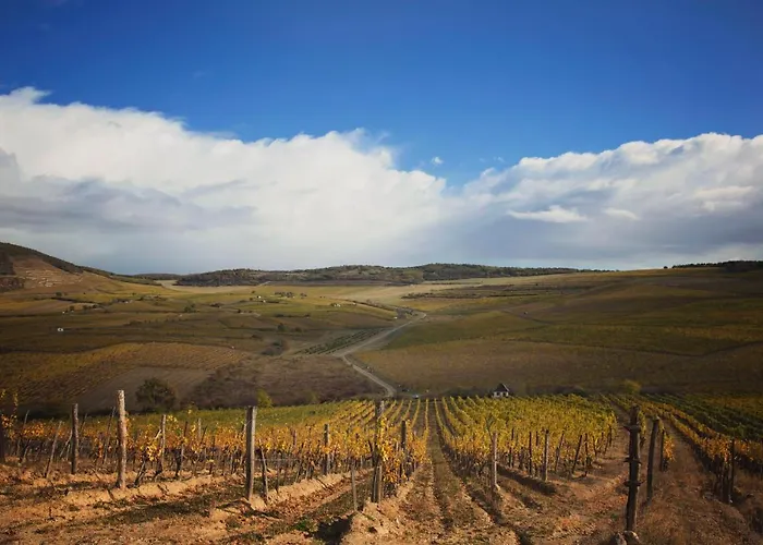 Antaloczy Winery&apartments Διαμέρισμα Tokaj