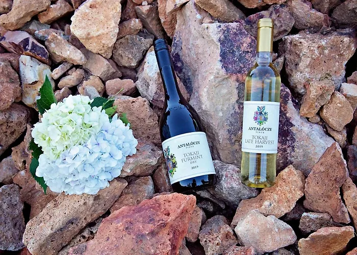شقة Antaloczy Winery&apartments