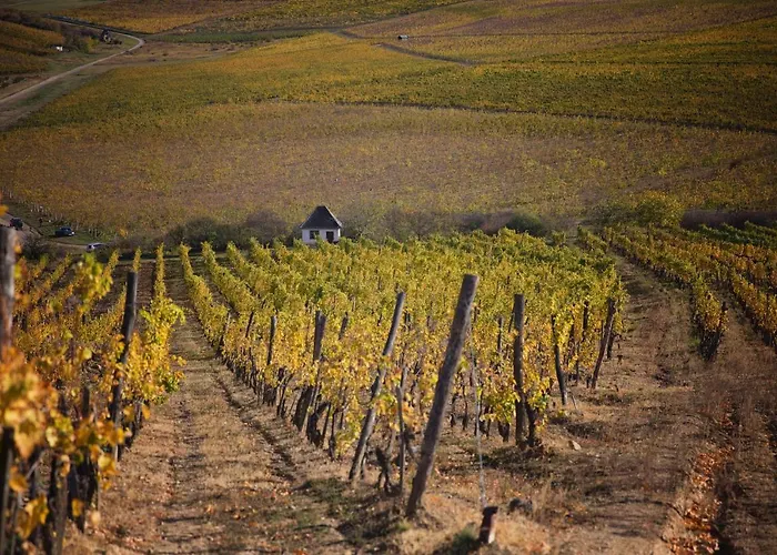 Antaloczy Winery&apartments شقة توكاي
