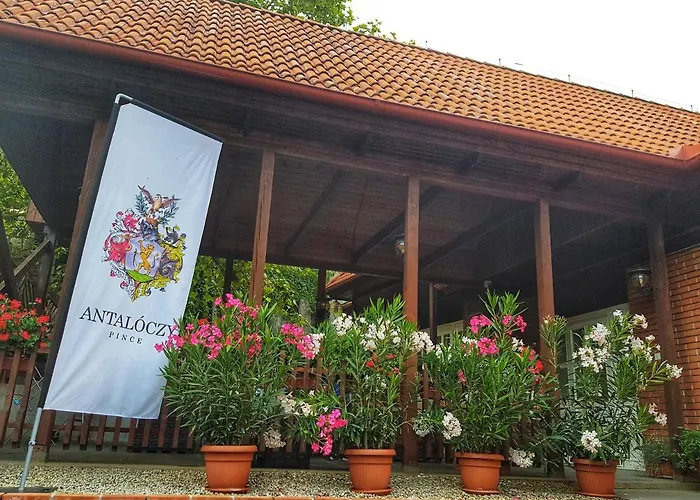 Antaloczy Winery&apartments דירה *