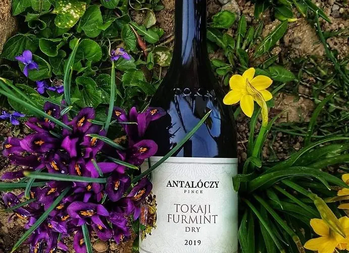 Antaloczy Winery&apartments דירה טוקאי