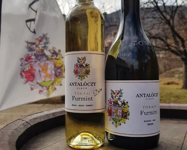 شقة Antaloczy Winery&apartments توكاي